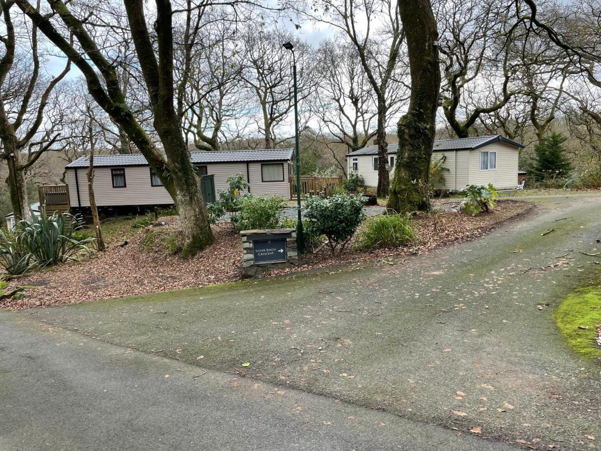 Snowdonia Holidays Caravan Hire - Aberdunant Park - 111 Silver Birch พอร์ทแมด็อก ภายนอก รูปภาพ