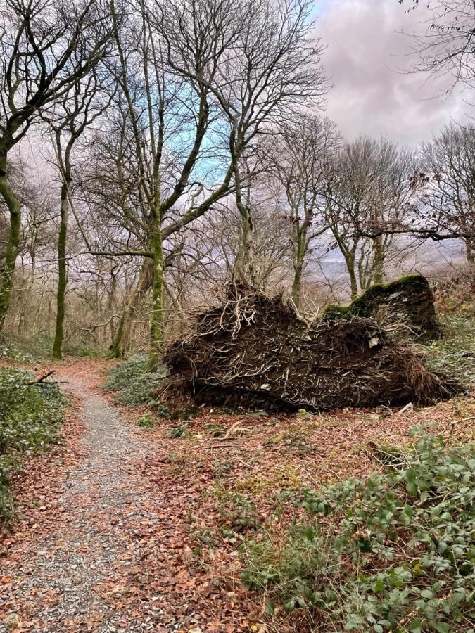 Snowdonia Holidays Caravan Hire - Aberdunant Park - 111 Silver Birch พอร์ทแมด็อก ภายนอก รูปภาพ
