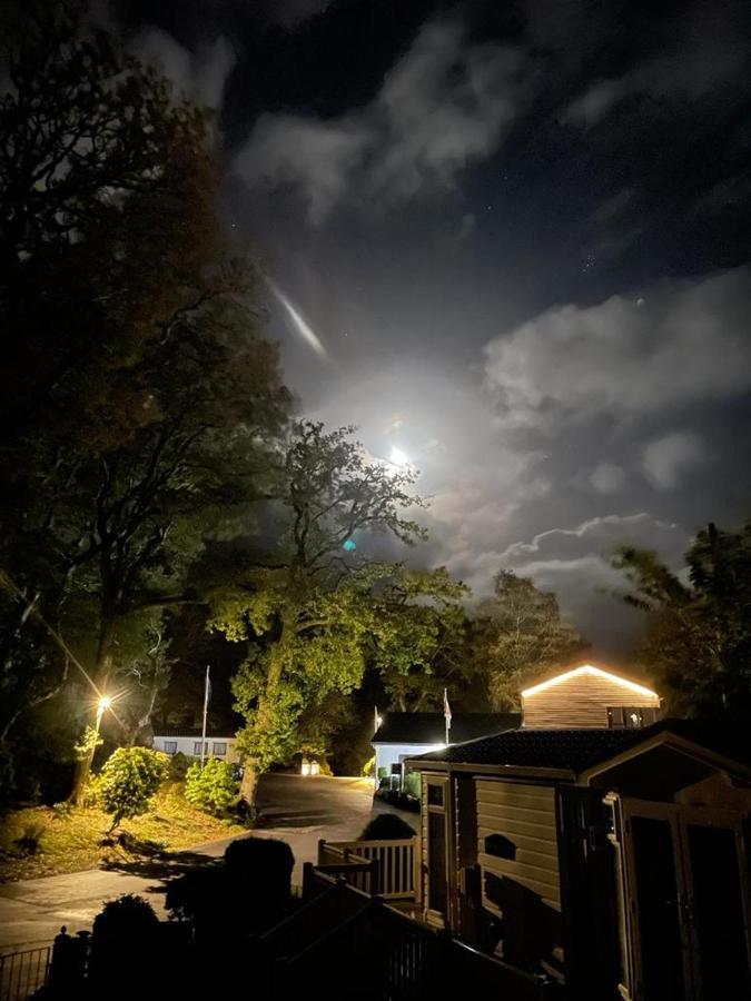 Snowdonia Holidays Caravan Hire - Aberdunant Park - 111 Silver Birch พอร์ทแมด็อก ภายนอก รูปภาพ